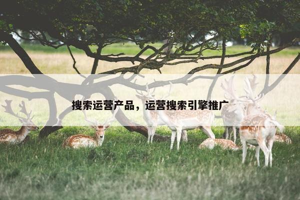 搜索运营产品，运营搜索引擎推广