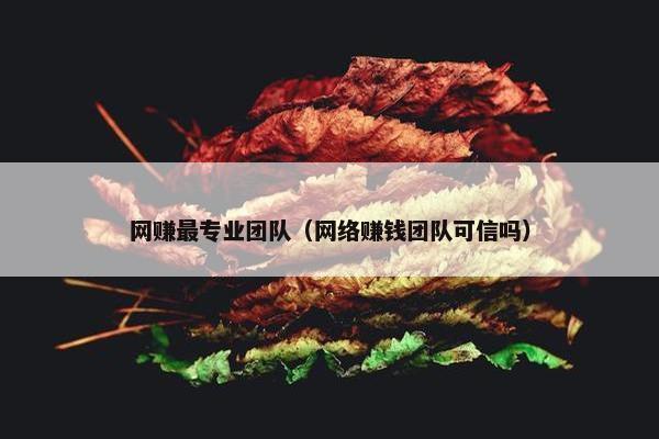 网赚最专业团队(网络赚钱团队可信吗) 网赚最专业团队(网络赚钱团队可信吗)