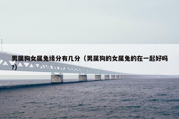 男属狗女属兔缘分有几分（男属狗的女属兔的在一起好吗?）