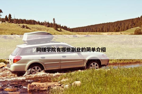 网赚学院有哪些副业的简单介绍