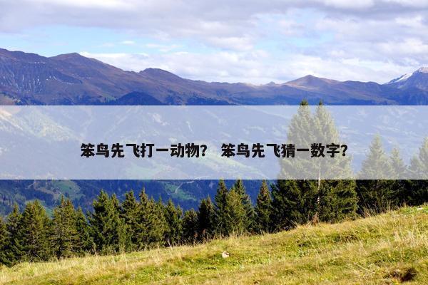 笨鸟先飞打一动物？ 笨鸟先飞猜一数字？