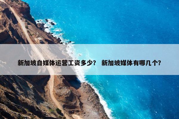 新加坡自媒体运营工资多少？ 新加坡媒体有哪几个？
