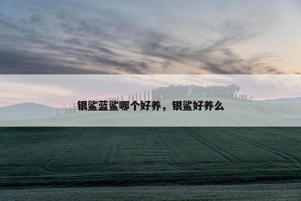 银鲨蓝鲨哪个好养，银鲨好养么