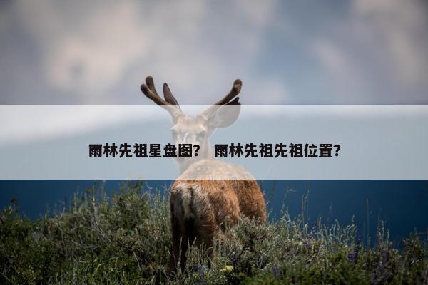 雨林先祖星盘图？ 雨林先祖先祖位置？