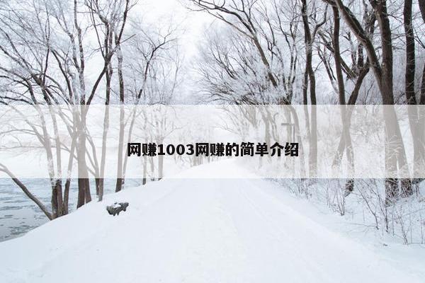网赚1003网赚的简单介绍