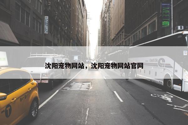 沈阳宠物网站，沈阳宠物网站官网