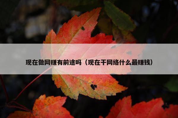 现在做网赚有前途吗（现在干网络什么最赚钱）