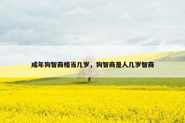 成年狗智商相当几岁，狗智商是人几岁智商