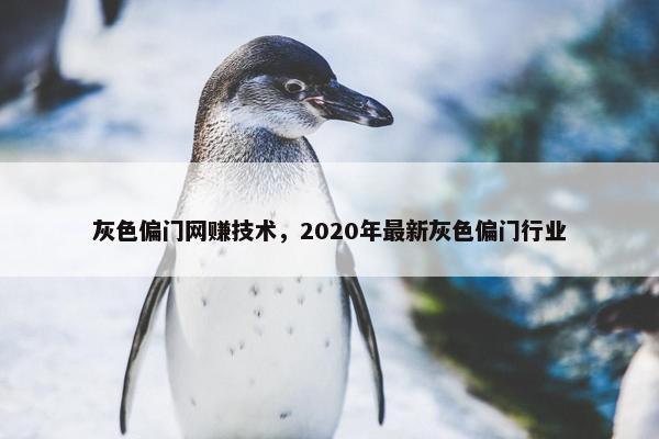 灰色偏门网赚技术，2020年最新灰色偏门行业