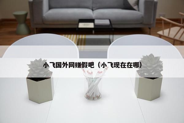 小飞国外网赚假吧（小飞现在在哪）