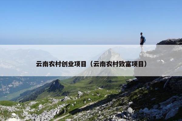 云南农村创业项目（云南农村致富项目）