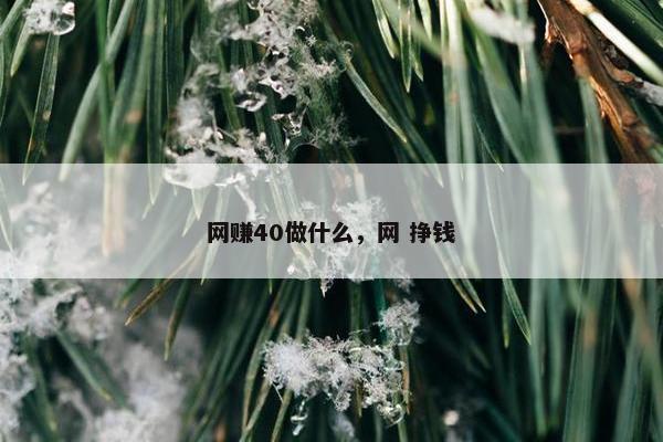 网赚40做什么，网 挣钱