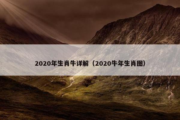 2020年生肖牛详解（2020牛年生肖图）