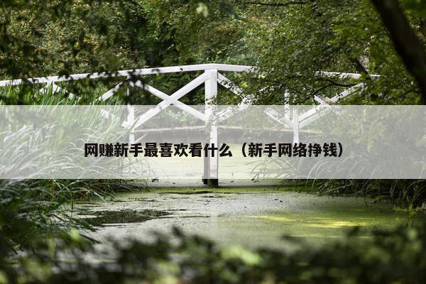网赚新手最喜欢看什么(新手网络挣钱) 网赚新手最喜欢看什么(新手网络挣钱)