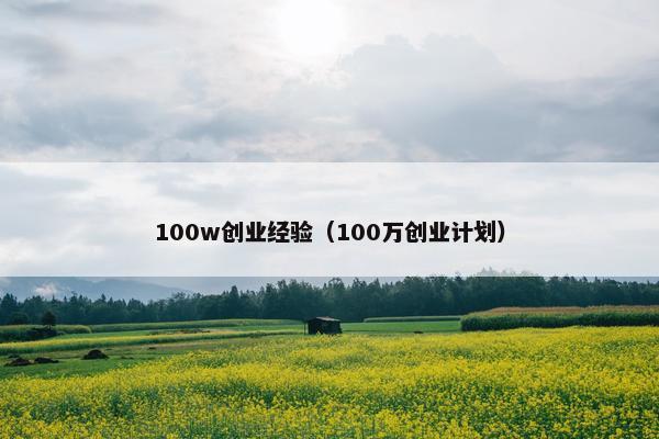 100w创业经验（100万创业计划）