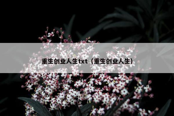 重生创业人生txt（重生创业人生）