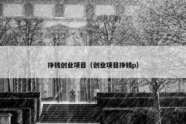 挣钱创业项目（创业项目挣钱p）