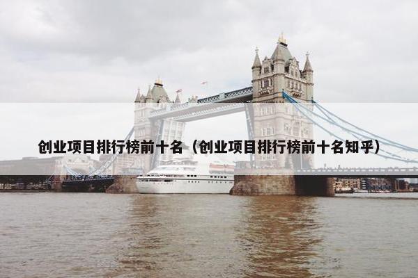 创业项目排行榜前十名（创业项目排行榜前十名知乎）