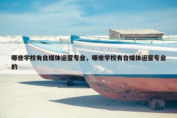 哪些学校有自媒体运营专业，哪些学校有自媒体运营专业的