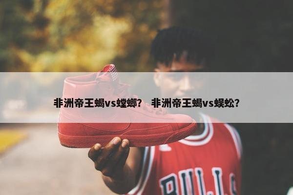非洲帝王蝎vs螳螂？ 非洲帝王蝎vs蜈蚣？