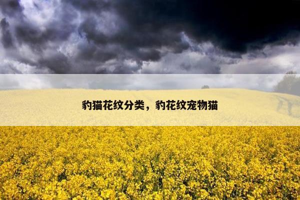 豹猫花纹分类，豹花纹宠物猫