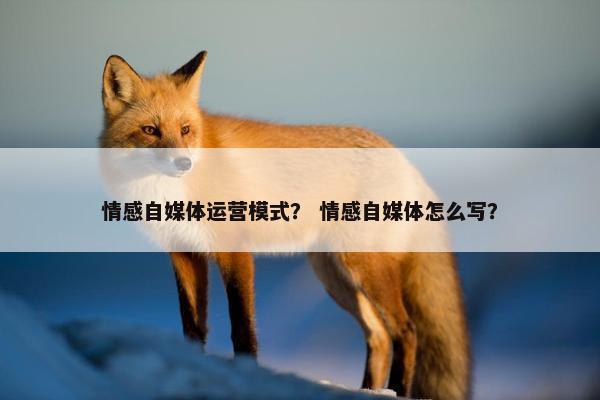 情感自媒体运营模式？ 情感自媒体怎么写？