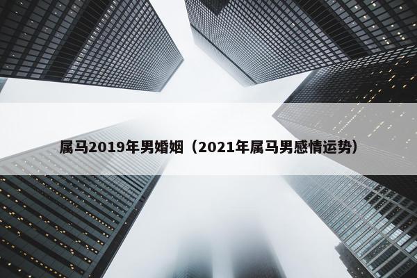 属马2019年男婚姻（2021年属马男感情运势）