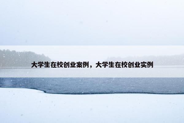 大学生在校创业案例，大学生在校创业实例