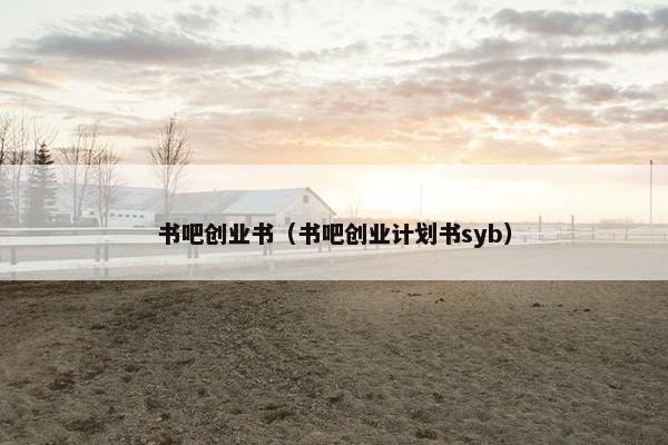 书吧创业书（书吧创业计划书syb）