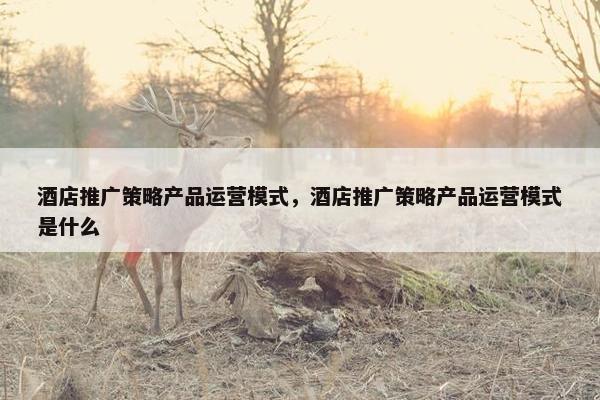 酒店推广策略产品运营模式，酒店推广策略产品运营模式是什么