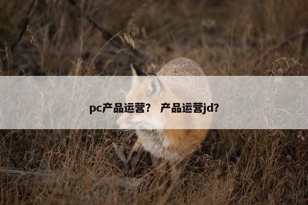 pc产品运营？ 产品运营jd？