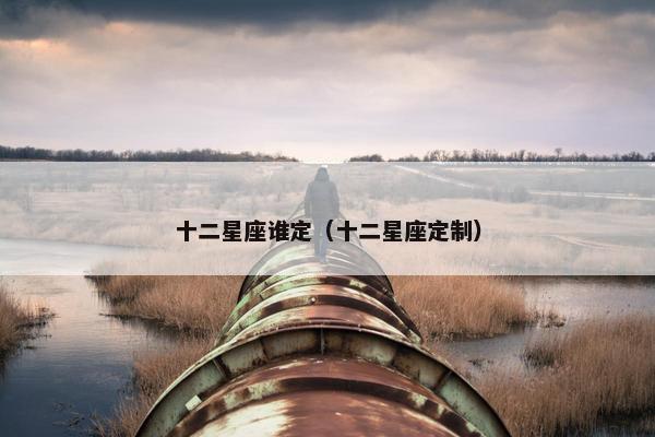十二星座谁定（十二星座定制）