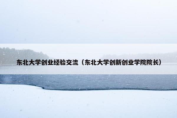 东北大学创业经验交流（东北大学创新创业学院院长）