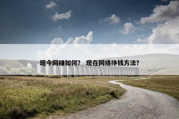现今网赚如何？ 现在网络挣钱方法？