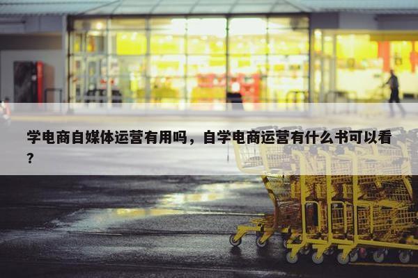 学电商自媒体运营有用吗，自学电商运营有什么书可以看?