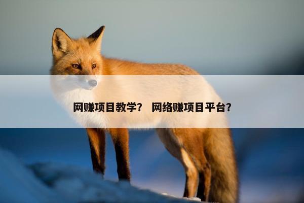 网赚项目教学？ 网络赚项目平台？