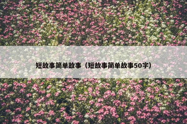 短故事简单故事（短故事简单故事50字）