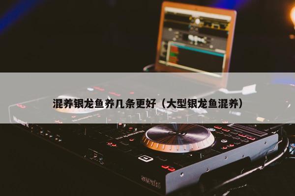 混养银龙鱼养几条更好（大型银龙鱼混养）