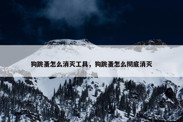狗跳蚤怎么消灭工具，狗跳蚤怎么彻底消灭