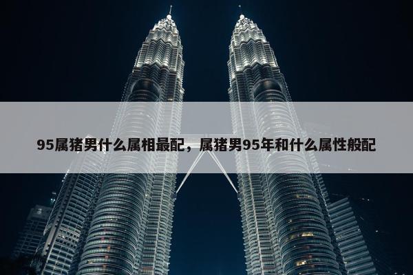 95属猪男什么属相最配，属猪男95年和什么属性般配