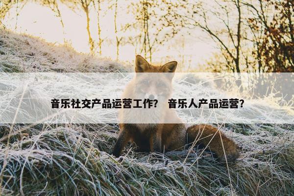 音乐社交产品运营工作？ 音乐人产品运营？