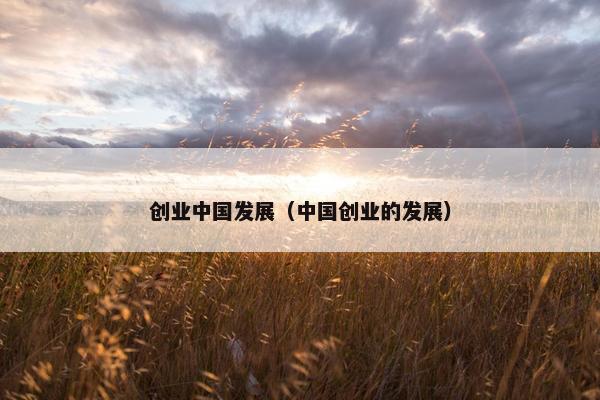 创业中国发展（中国创业的发展）