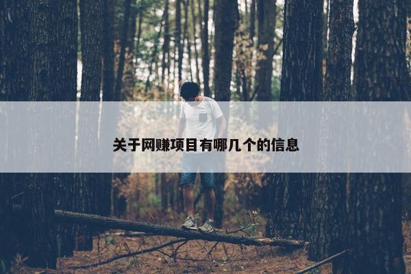 关于网赚项目有哪几个的信息 关于网赚项目有哪几个的信息