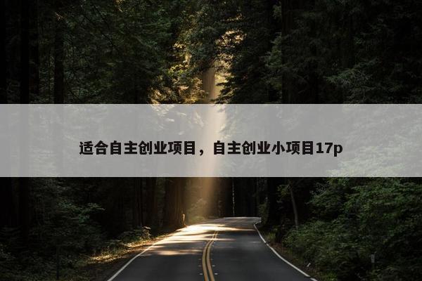 适合自主创业项目,自主创业小项目17p 适合自主创业项目,自主创业小项目17p