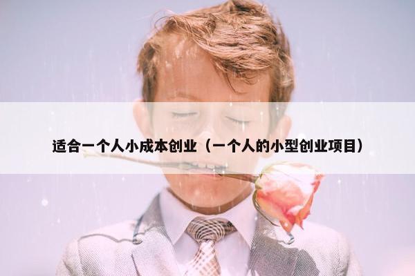 适合一个人小成本创业（一个人的小型创业项目）