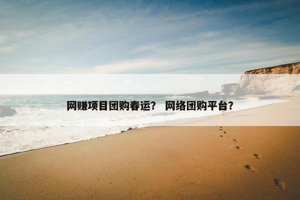 网赚项目团购春运？ 网络团购平台？