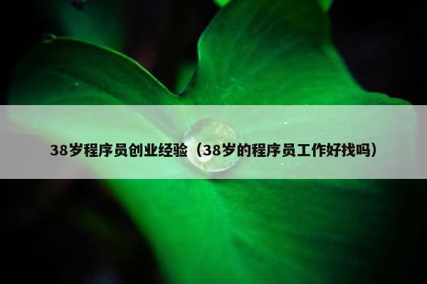 38岁程序员创业经验（38岁的程序员工作好找吗）