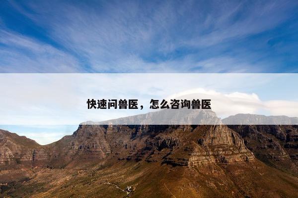 快速问兽医，怎么咨询兽医