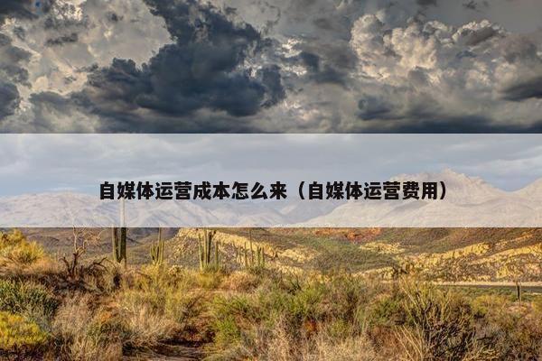 自媒体运营成本怎么来(自媒体运营费用) 自媒体运营成本怎么来(自媒体运营费用)