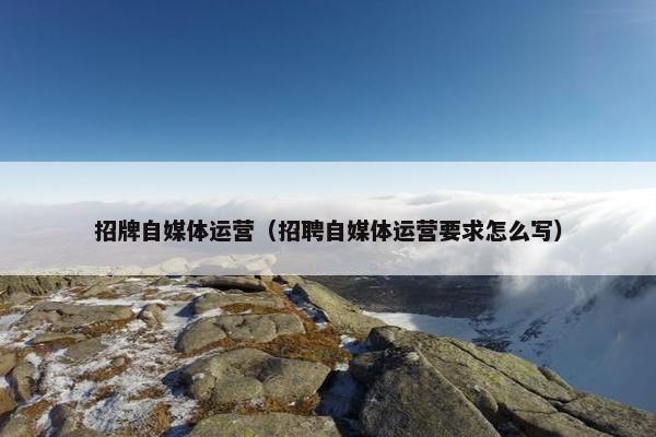 招牌自媒体运营（招聘自媒体运营要求怎么写）